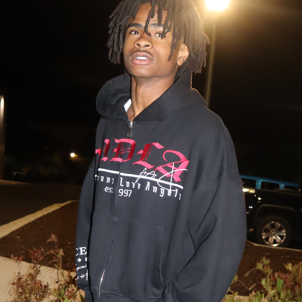 (Pre-Order 6 Weeks) MDLA Signature Hoodie